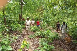 CG News: महासमुंद के इन 13 गांवों में मंडरा रही मौत! लोगों को घर में रहने की
सलाह - image