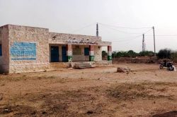 प्रति वर्ष लगाते हजारों पौधे, हरियाली का नहीं नामोनिशान - image