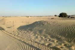 Rajasthan: थार में जमकर मेहरबान हो रहा मानसून, वैज्ञानिकों का दावा, इतने साल में
गायब हो सकता है रेगिस्तान - image