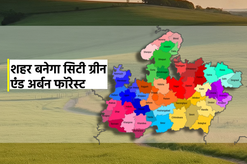 City Green and Urban Forest