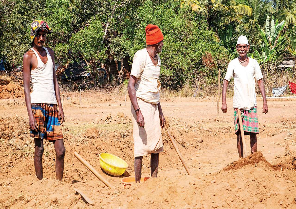 राज्य में वित्तीय वर्ष 2024-25 में 80 साल से अधिक आयु के 48702 बुजुर्गों ने मनरेगा में मजदूरी की। इस आयु वर्ग में मजदूरी कर रहे बारां जिले के 774 बुजुर्ग भी शामिल हैं।