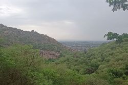 बारिश से मौसम हुआ सुहावना, पहा डियों पर आई हरियाली - image