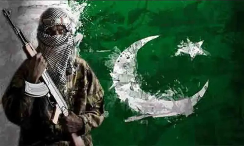 Pakistan's terrorism