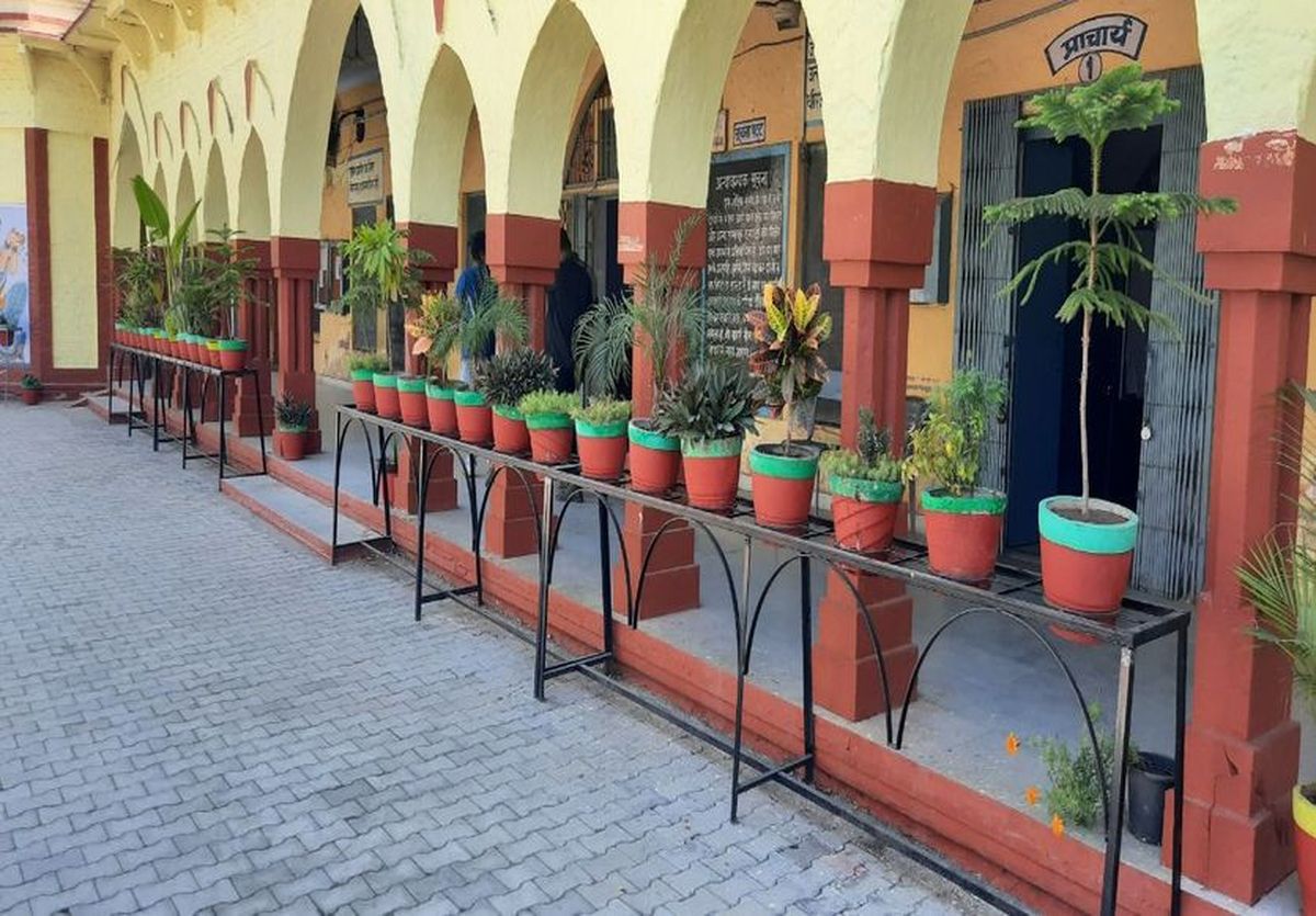 कॉलेज में प्रवेश प्रक्रिया शुरू,16 जून तक होंगे आवेदन