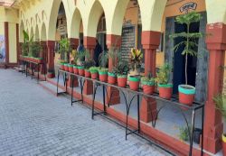 कॉलेज में प्रवेश प्रक्रिया शुरू,16 जून तक होंगे आवेदन - image
