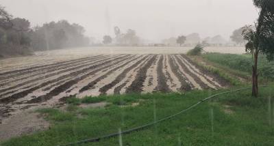 दिनभर की उमस के बाद शाम को झमाझम