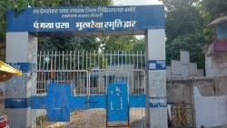 गर्भवती व बुजुर्गो के लिए खतरनाक हो सकता है कोविड का जेएन-१ वेरिएंट - image
