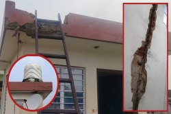 अलवर में बारिश के साथ गिरी आकाशीय बिजली, दर्जनों घरों में भारी नुकसान - image