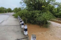 VIDEO: थानागाजी क्षेत्र में दो घंटे झमाझम बारिश, कई गांवों के नदी-नालों में उफान - image