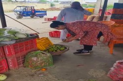बानसूर सब्जी मंडी में मिलावट के खिलाफ छापेमारी, 20 किलो दूषित सब्जियां कराई नष्ट - image