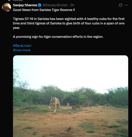 Sariska