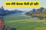 Betwa river is getting polluted by the drain and environment is also getting polluted due to the cutting of forests in vidisha mp news