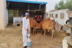 खेती से डेयरी तक…गांवों में बह रही रोजगार की नई धार, जुट रहा परिवार - image