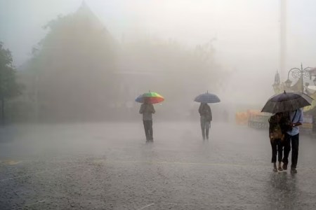 rain alert