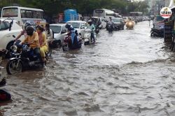 Rajasthan Monsoon: राजस्थान में यहां से गुजर रही मानसून की ट्रफ लाइन, 5 दिन तक
इन जिलों में बारिश का अलर्ट - image
