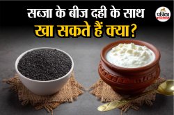 Dahi And Sabja Seeds: दही में मिलाकर खाएं सब्जा सीड्स, शरीर को मिलेंगे ये 6
जबरदस्त फायदे - image