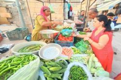 अब बारिश के सीजन की सब्जियां भी आएगी बीमा के दायरे में - image