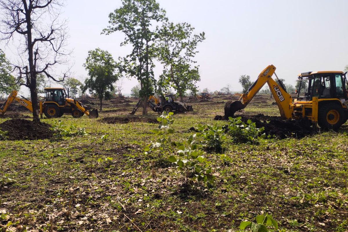 200 अधिकारियों ने मिलकर खाली करा दी 700 बीघा जमीन, अवैध कब्जों के खिलाफ हुई
कार्रवाई