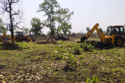 200 अधिकारियों ने मिलकर खाली करा दी 700 बीघा जमीन, अवैध कब्जों के खिलाफ हुई
कार्रवाई - image