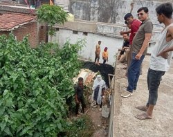सन्निकट मानसून में भारी न पड़ जाए नगरीय निकाय क्षेत्रों में अधूरी तैयारी - image