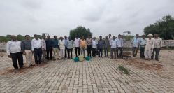 सुथार समाज ने कैलाशनगर में लगाए 101 पौधे, लिया संरक्षण का संकल्प - image