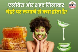 Aloe Vera And Honey For Skin: स्किन के दाग-धब्बे से लेकर ड्रायनेस तक, त्वचा की
हर परेशानी का रामबाण इलाज है एलोवेरा और शहद से बना फेस मास्क - image