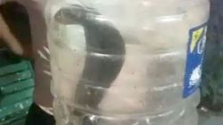 Snake Bite : राजस्थान में यहां एक दिन में पांच लोगों को सांपों ने डसा, परिजन
सांप डिब्बे में बंद कर अस्पताल पहुंचे - image