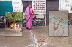 आंगनबाड़ी केंद्र में घुसा 6 फुट लंबा सांप, गेट खोलते ही फन उठाकर किया हमला,
बाल-बाल बचे 16 बच्चे - image