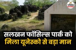 1.4 अरब साल पुराने जीवन के निशान… सलखन फॉसिल्स पार्क को मिला यूनेस्को से बड़ा
मान, क्या बदल जाएगी सोनभद्र की किस्मत? - image