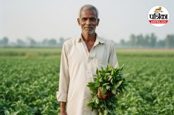 Good News: तूफान से फसलें हुईं थी तबाह, अब राजस्थान के किसानों के खातों में
आएंगे 40 करोड़ रुपए - image