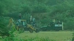 Ranthambore : फिर जंगल से बाहर आया बाघ, मची अफरा-तफरी, जेसीबी पर चढ़कर किया
ट्रेंकुलाइज - image