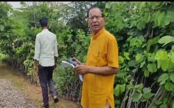 आधार कार्ड पर निशुल्क दे रहे पौधे, साथ में हरियाली की उपयोगिता का पाठ भी सिखा
रहे - image