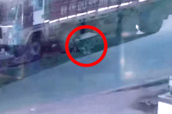 ट्रक की छत पर सोते ड्राइवर के साथ हुआ कुछ ऐसा, हो गई मौत, घटना CCTV में कैद - image