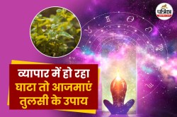 व्यापार में हो रहा घाटा तो आजमाएं तुलसी के पत्ते का ये उपाय, आपकी ओर खिंचने
लगेगा पैसा - image