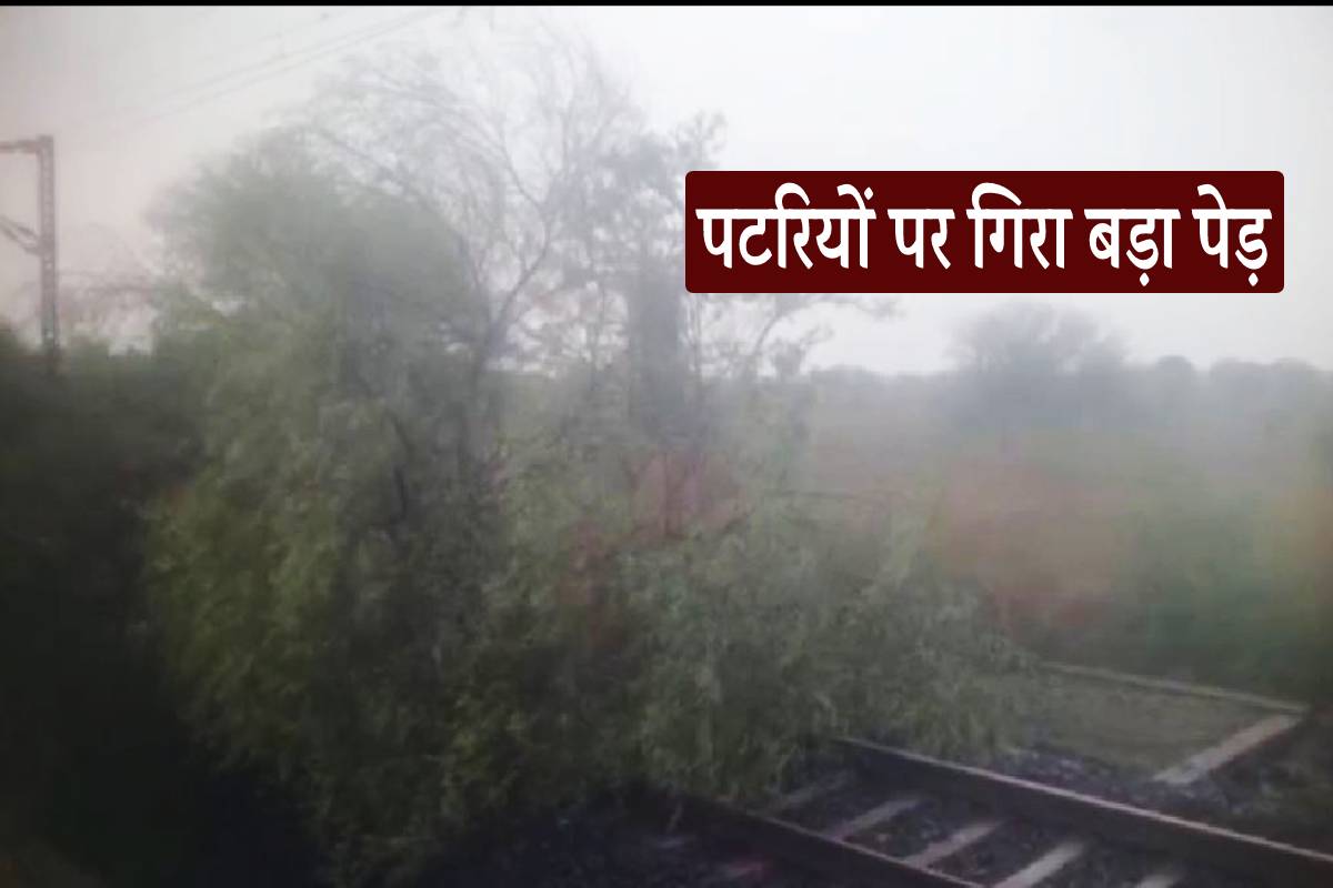 एमपी में आंधी बारिश का कहर, बेरछा स्टेशन के पास पटरियों पर गिरा पेड़, ट्रेन रुकी