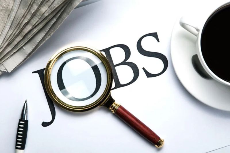 प्लेसमेंट कैम्प का आयोजन (Photo Patrika)