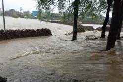 Rajasthan Rains: राजस्थान में अभी यहां नहीं पहुंचा मानसून, IMD का अलर्ट, 26 से
29 जून तक इन जिलों में होगी मूसलाधार बारिश - image