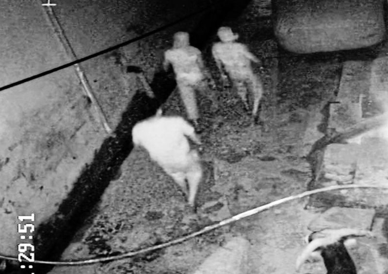 कस्बे में इन दोनों चोरों की गैंग सक्रिय है। यह काफी खतरनाक बताई जा रही है इसमें लगभग आधा दर्जन से अधिक बदमाश शामिल हैं। पुलिस ने बताया कि कंचनपुरी मोहल्ले में भी इन चोरों ने वारदात करने की कोशिश की। इस दौरान यह पूरे मोहल्ले में घूमते रहे। इसका वीडियो भी सीसीटीवी ने कैद किया है।