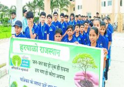 अगर हम एक पौधा भी लगाएं तो ये धरती पर हमारा उपकार होगा - image