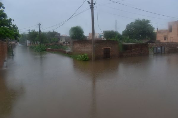 The farmer plowed the field...rain gave new life