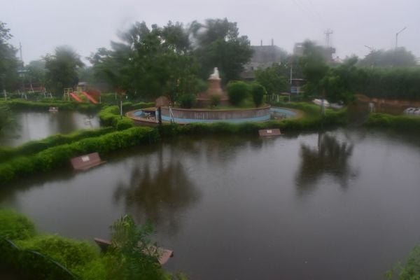 The farmer plowed the field...rain gave new life