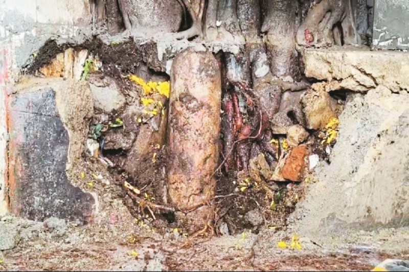 खुदाई के दौरान मिला शिवलिंग (Photo source- Patrika)