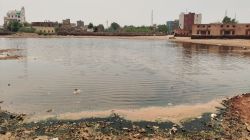 निकासी नाकाम, इंतजाम नदारद… बारिश में बेहाल पोकरण - image