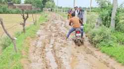 मुरैना में चार गांव के 1000 लोग दलदल से निकलने को मजबूर, नहीं बनी सडक़ - image