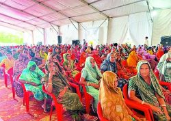 जनसुनवाई में स्थानीय को रोजगार, विकास और सहयोग का भरोसा दिलाया - image