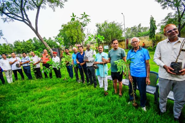 Hariyalo Rajasthan by Rajasthan Patrika 