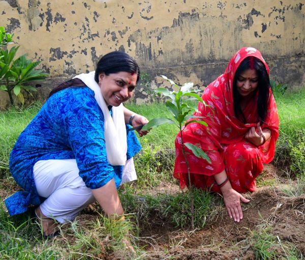 Hariyalo Rajasthan by Rajasthan Patrika 