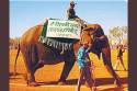 Asia’s oldest female elephant ‘Vatsala’ dies