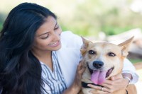 बिना लाइसेंस कुत्ता टहलाना पड़ सकता है महंगा फोटो सोर्स : Social Media