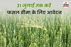Rajasthan Farmers: बारिश, ओले या तूफान…अब नहीं होगी फसल पर आफत की मार, 31 जुलाई
तक कराएं बीमा - image